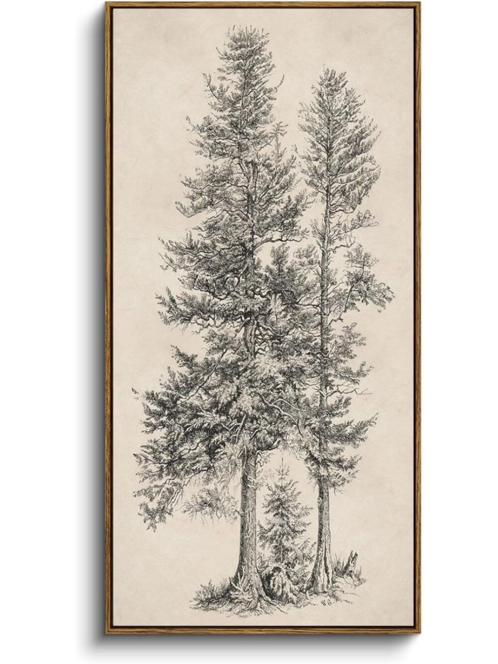 Extra Large Framed Vertical Wall Art - Nature Sketch of Two Trees, 20x40